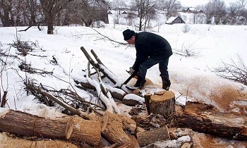 Ленобласть определит квоты для жителей на самозаготовку дров