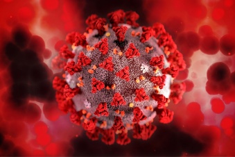 Коронавирус в Ленобласти: за последние сутки выявлено 809 новых случаев