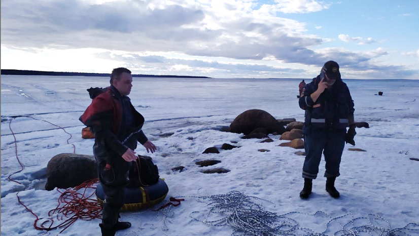 В Ленобласти МЧС спасли еще двух рыбаков на льду