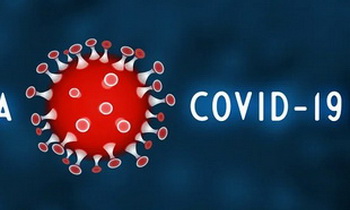 Коронавирус в Ленобласти: за последние сутки выявлено 88 новых случаев