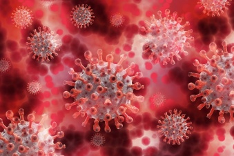 Коронавирус в Ленобласти: за последние сутки выявлено 329 новых случаев