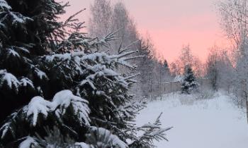 Зима останется надолго. Прогноз погоды в СПб и Ленобласти
