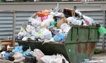 Жители Ромашек погрязли в мусоре