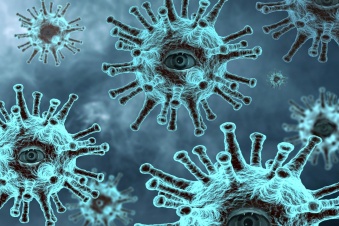 Коронавирус в Ленобласти: за последние сутки выявлено 334 новых случая